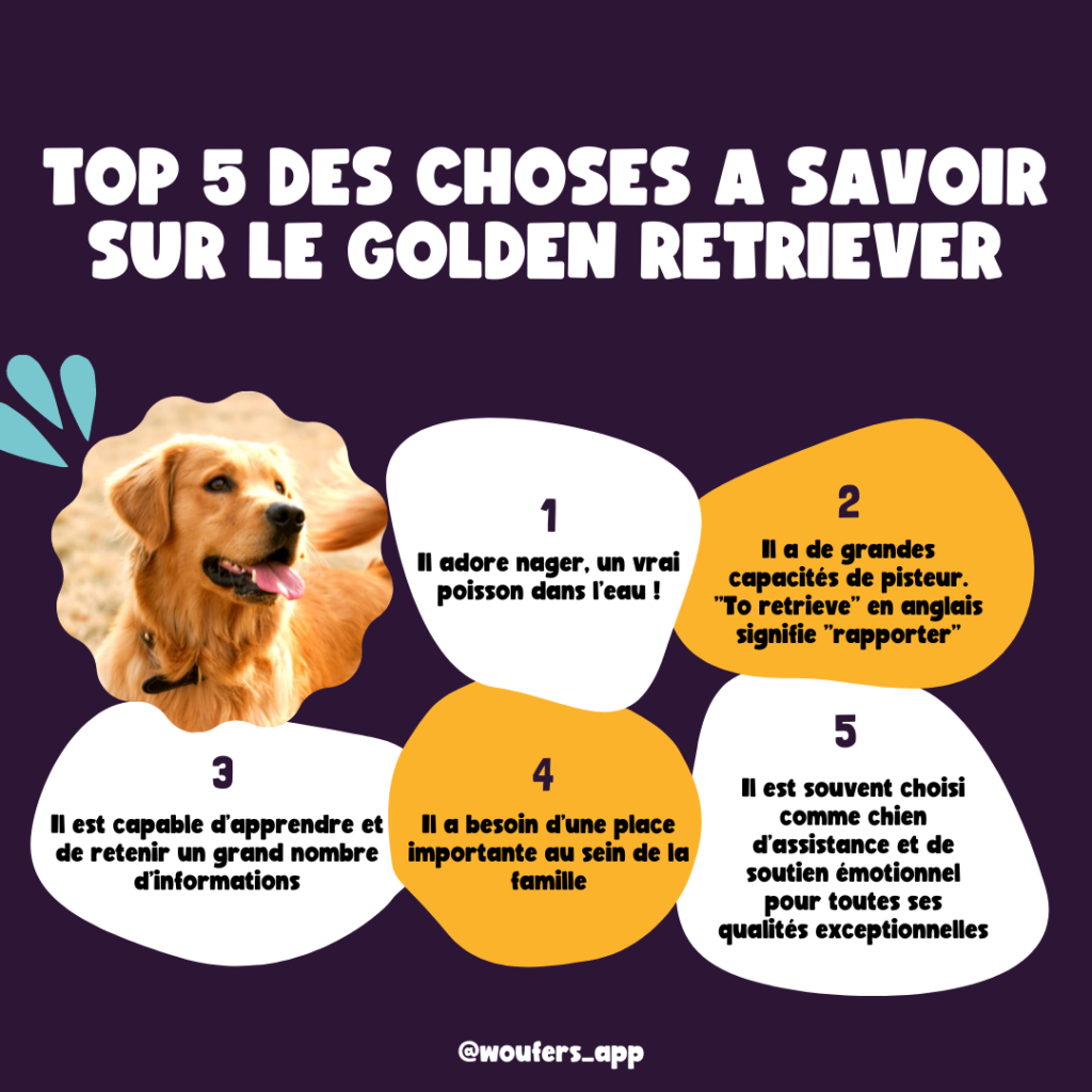 Post_Woufers_Balade, chien et rencontre