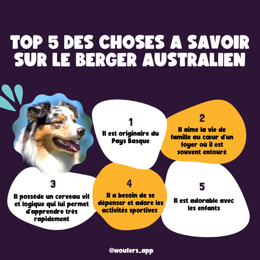 Post_Woufers_Balade, chien et rencontre