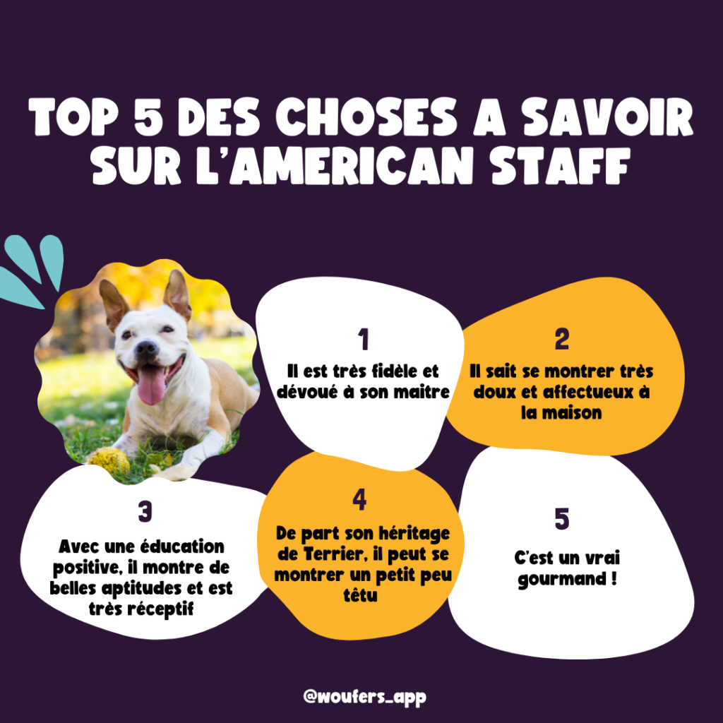 Post_Woufers_Balade, chien et rencontre