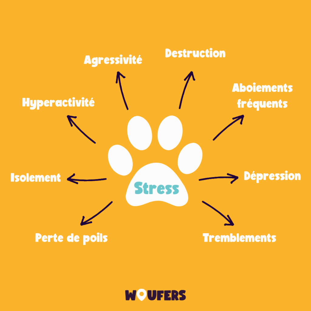 Post_Woufers_Balade, chien et rencontre