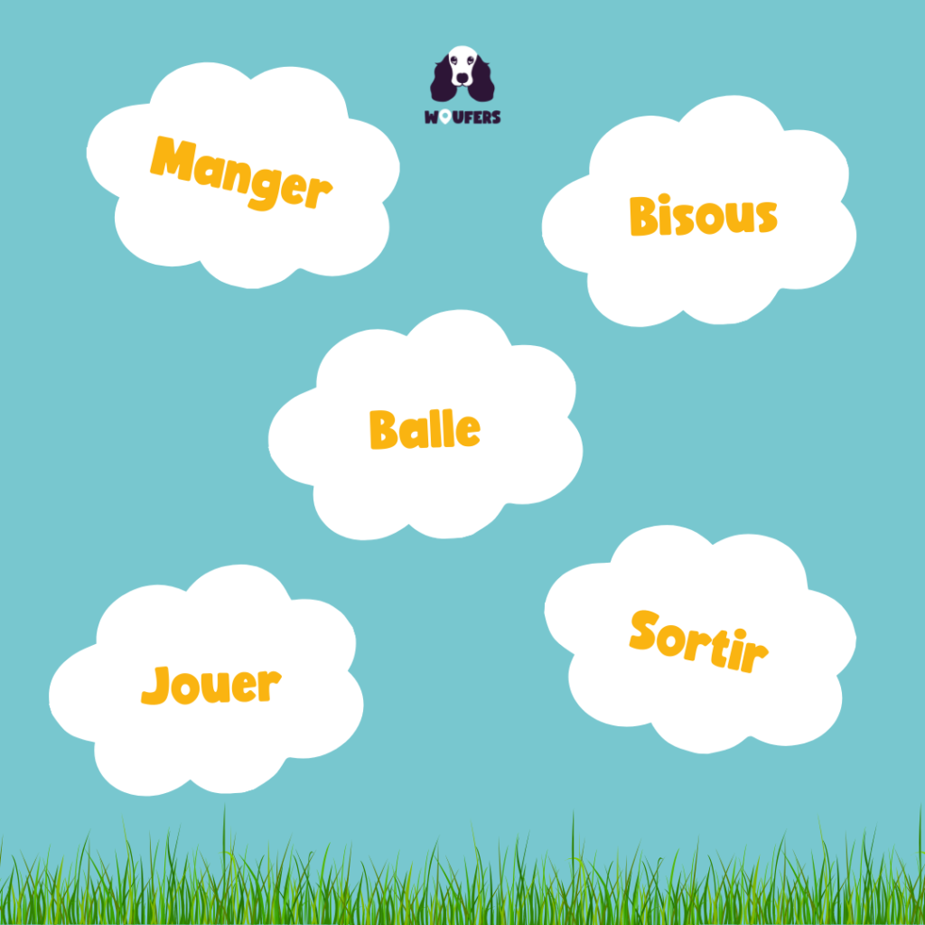 Post_Woufers_Balade, chien et rencontre