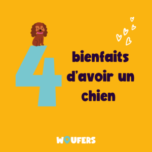 Post_Woufers_Balade, chien et rencontre