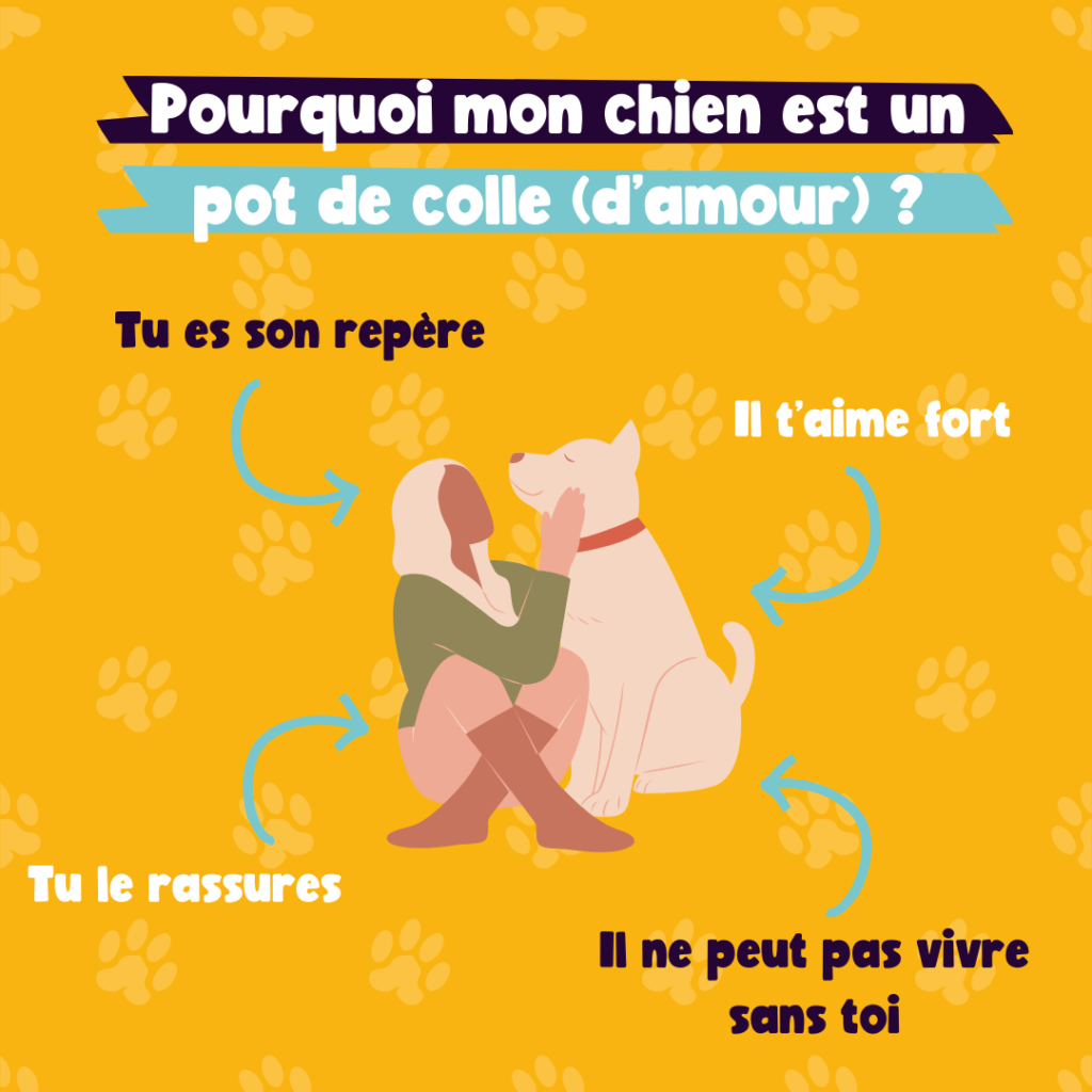 Post_Woufers_Balade, chien et rencontre