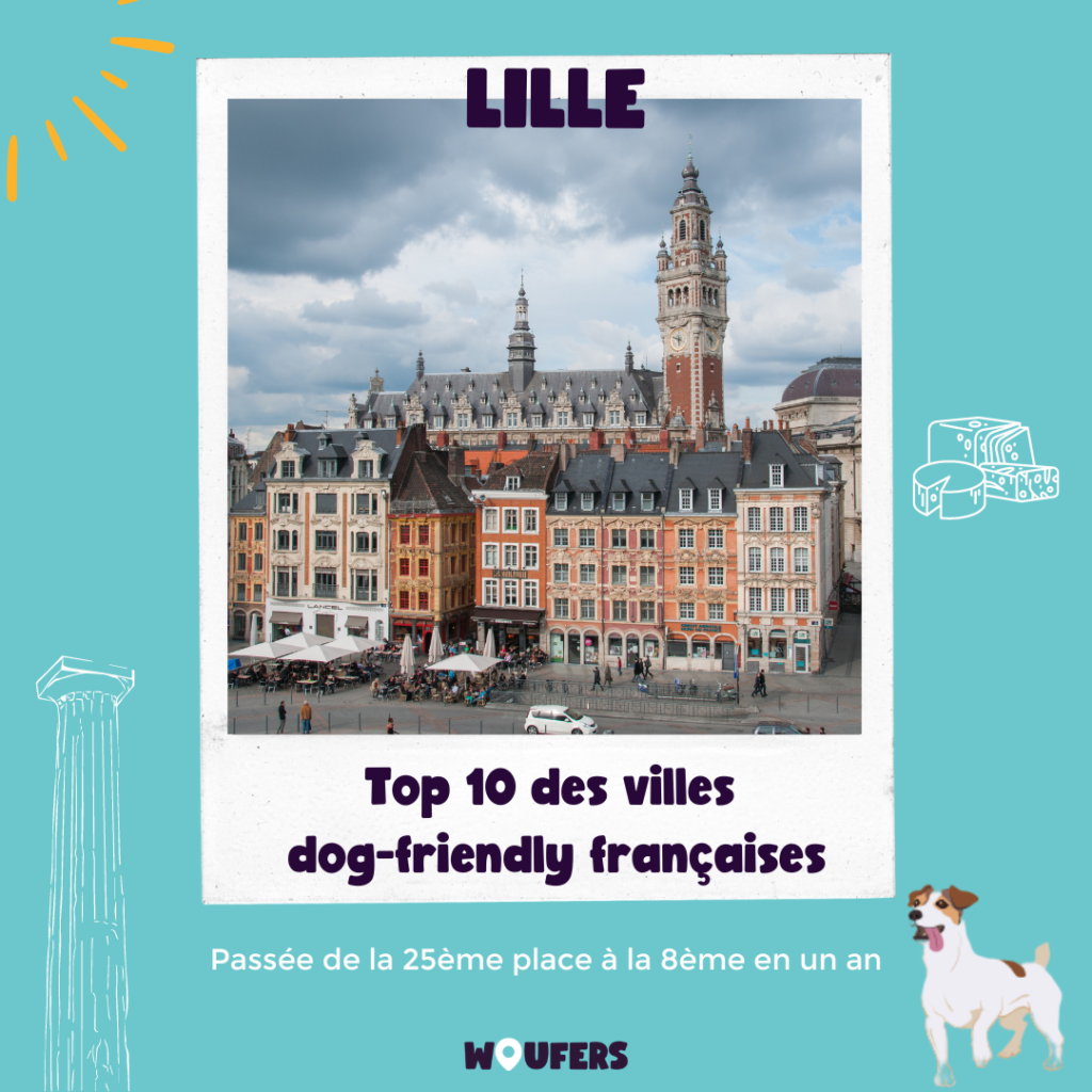 Posts_Woufers_Balade_rencontre_chien